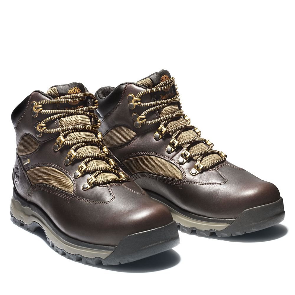 Botas de Montaña Timberland Hombre Chocorua Trail 2.0 Waterproof Marrones Oscuro - Chile LKF-152894